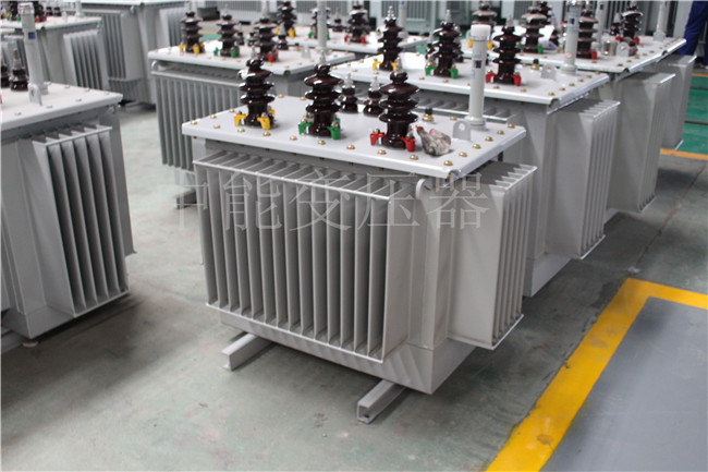 自贡S22-250KVA/10KV变压器